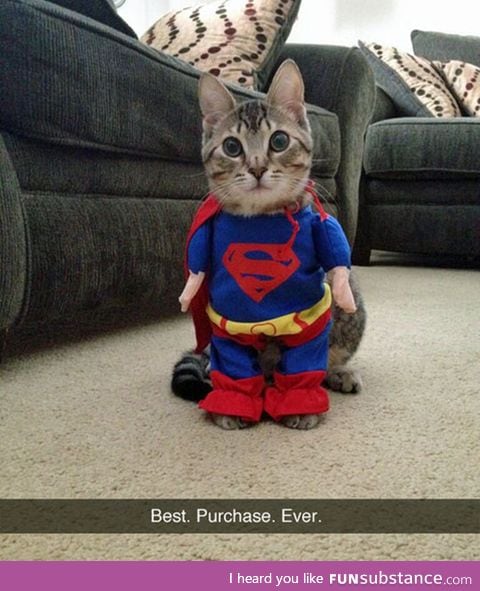 The super-kitty