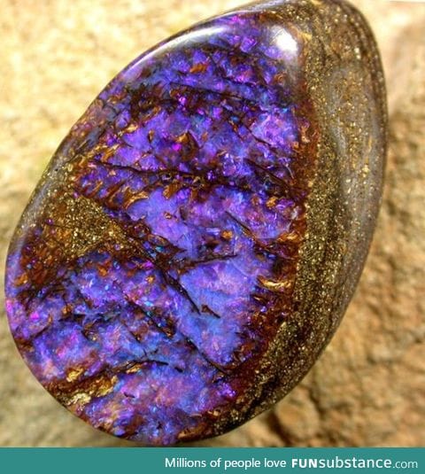 Opalized wood electric blue fire stone