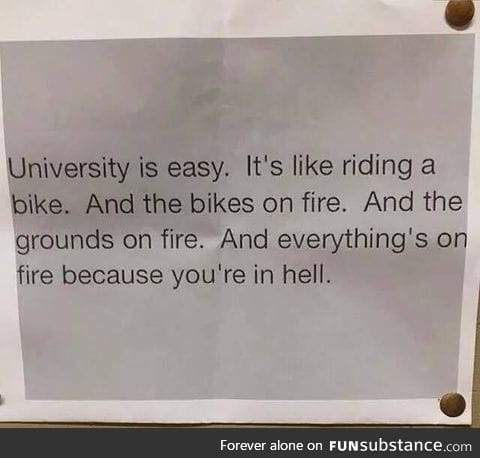 University is easy