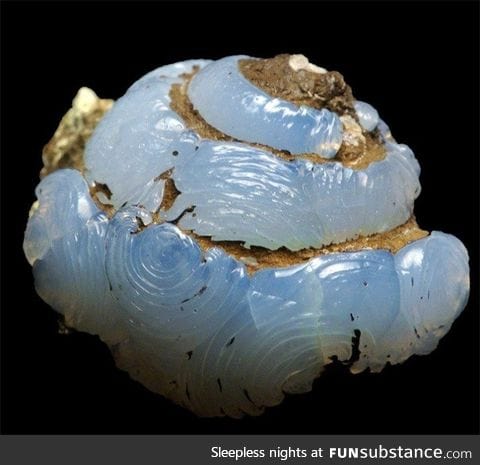 Fossilized Snail Turned to Opal