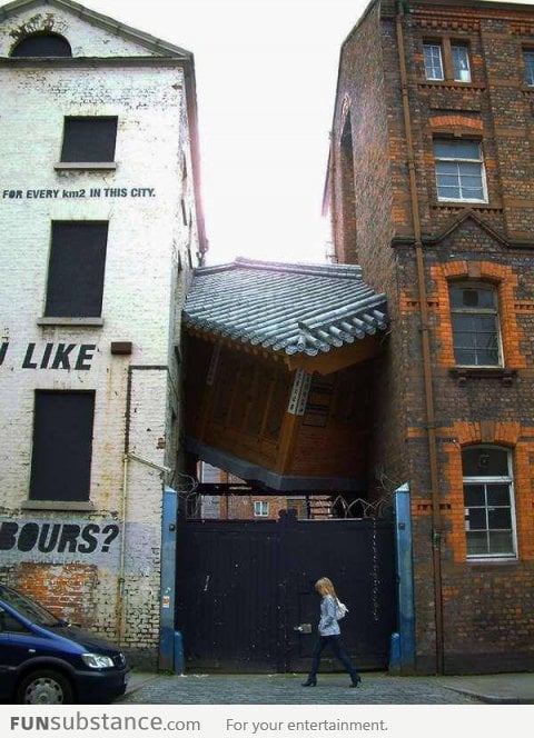 Go home house, you're drunk