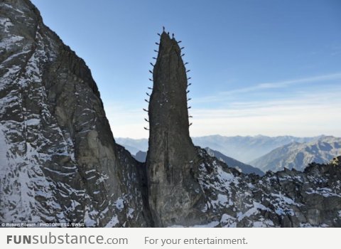 28 climbers posing on Cleopatra's Needle, Italy