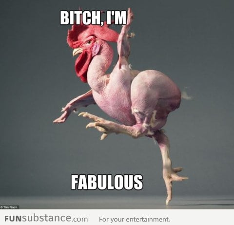 B*tch, I'm fabulous
