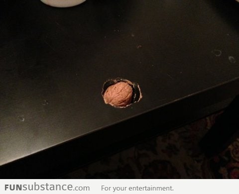 Tried to crack a nut on my coffee table