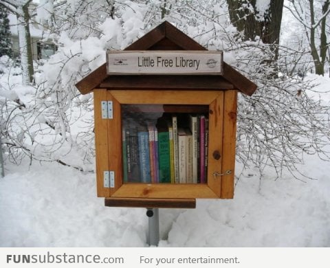 I wish I had this Little Free Library in my city