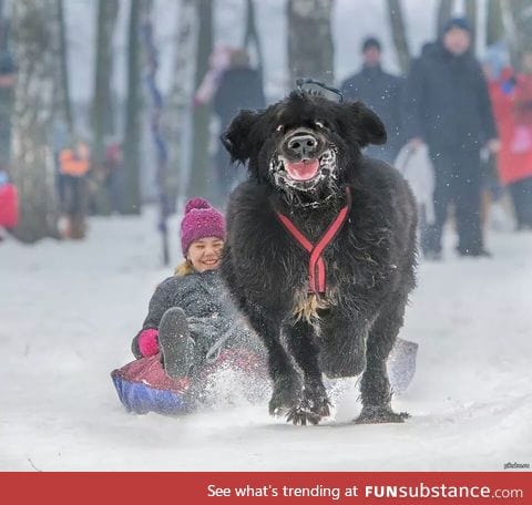 These two look like they are having fun