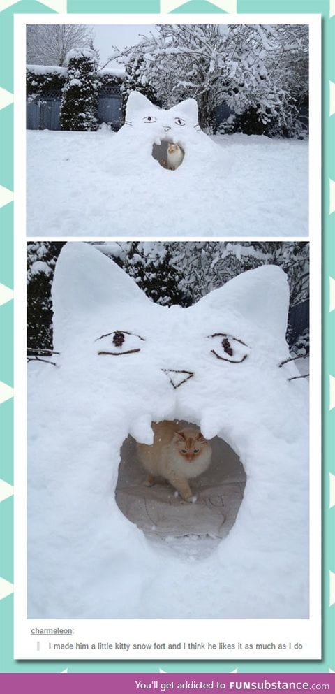 Kitty snow fort