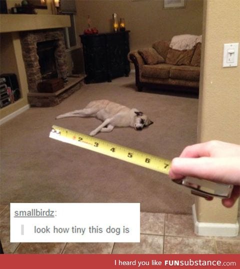 That is really tiny
