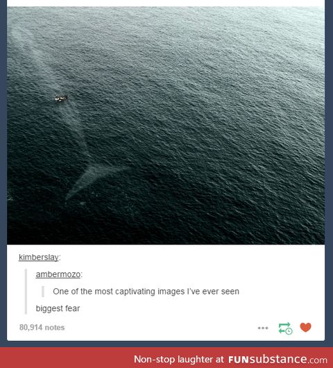 Water you scared off? I can't sea it. Oh whale then...