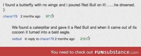 Redbull give you wings