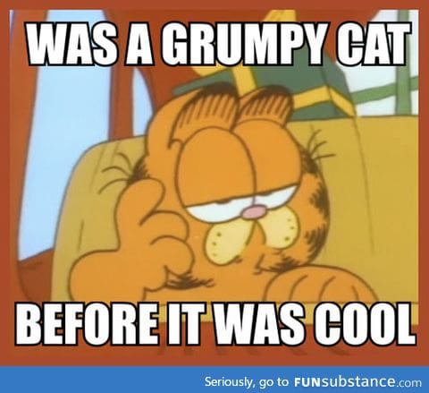 The original Grumpy Cat