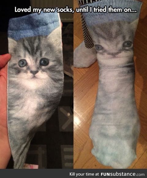 Cat socks