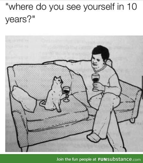 But with more cats