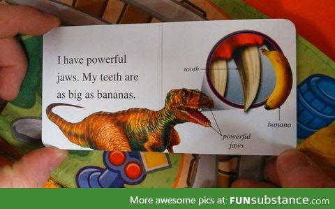 This dinosaur book actually uses a banana for scale