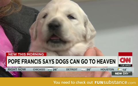 All dogs go to Heaven