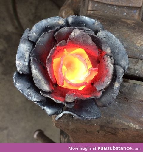 Hot Heart of Rose