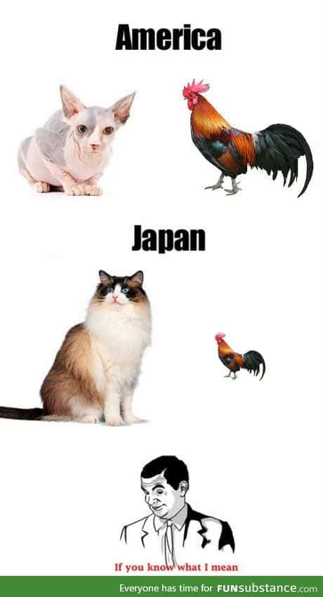 had to post this.  sorry japan, no offense
