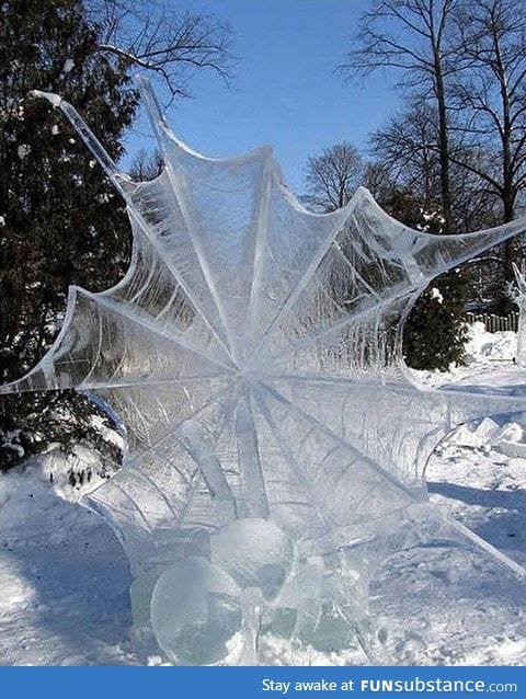 Frozen Spider
