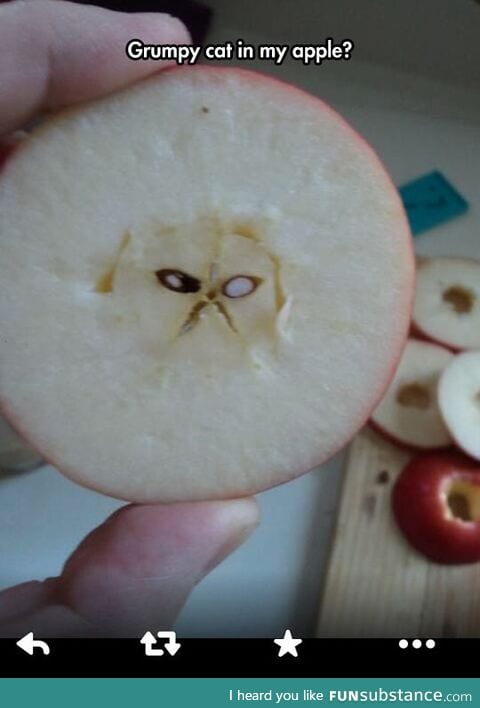 You May Say That's A Grumpy Apple
