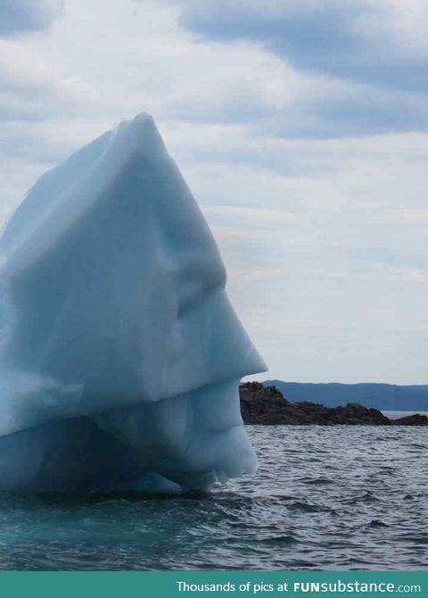 This iceberg's parents melted. Now he fights global warming