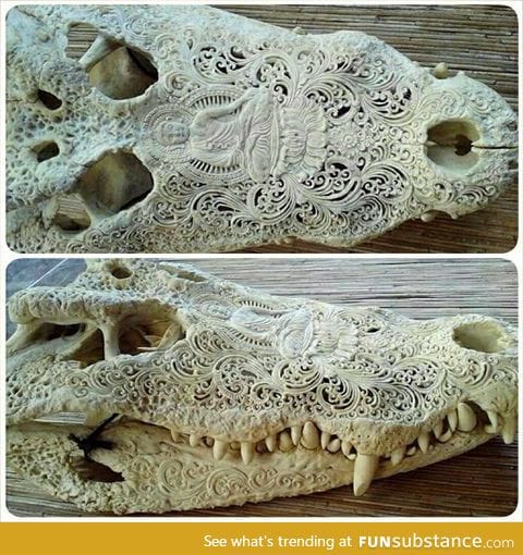 Carved skull of an alligator