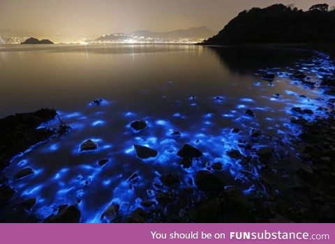 Algae bloom in Chinese Waters