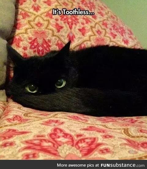 Toothless...