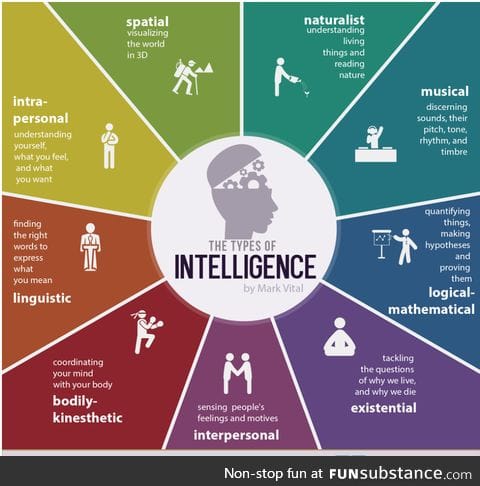 The 9 types of intelligence