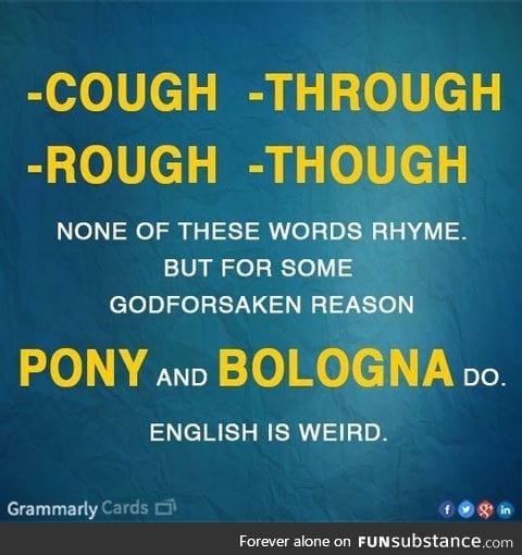 Pony and Bologna