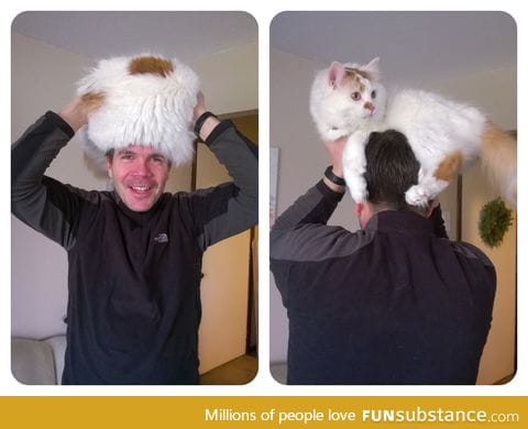 Cat hat