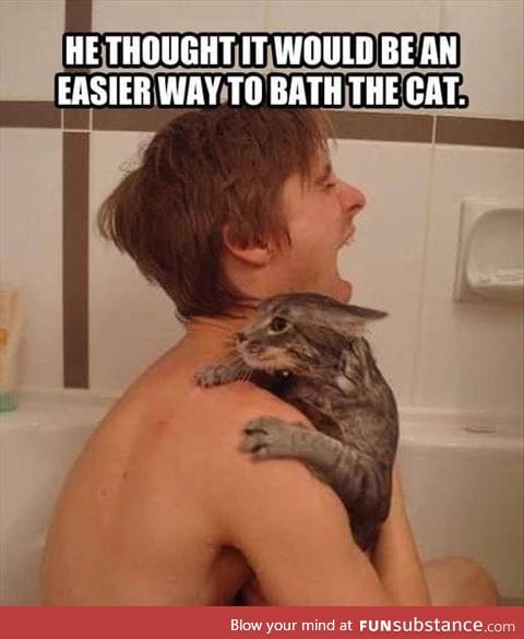 How not to bathe the cat