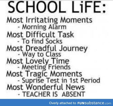true school life