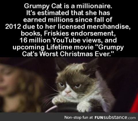 Grumpy Cat is a millionaire. It's estimated that she has earned millions