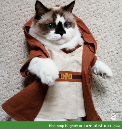 I sense a disturbance in the force!