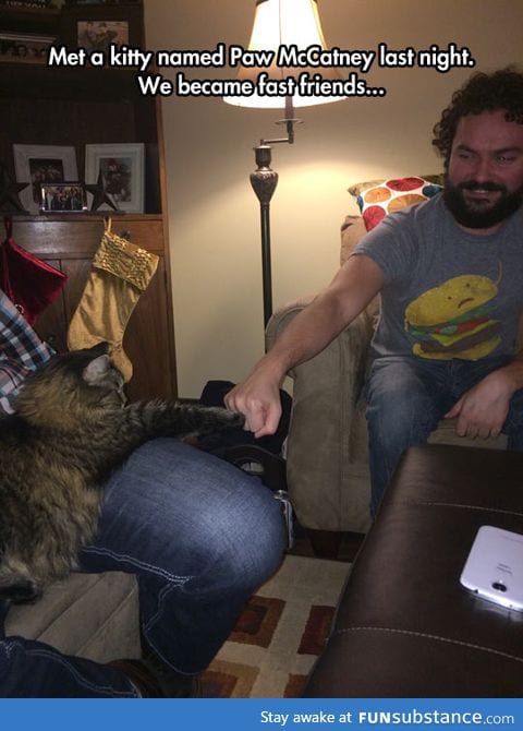 Bro fist with the new cat