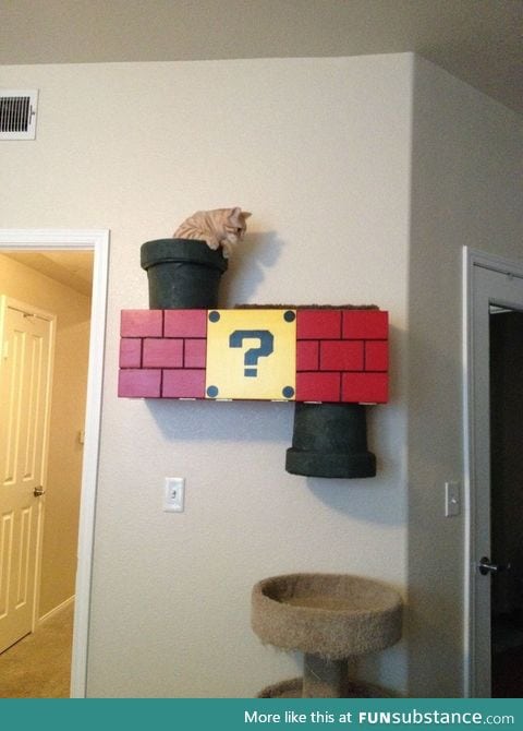 Awesome Super Mario Bros cat condo