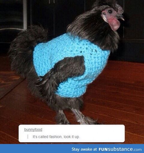 Chicken sweaters. The future is here!