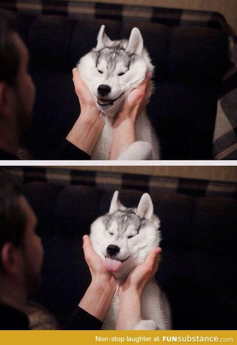 Draw a smile on your husky