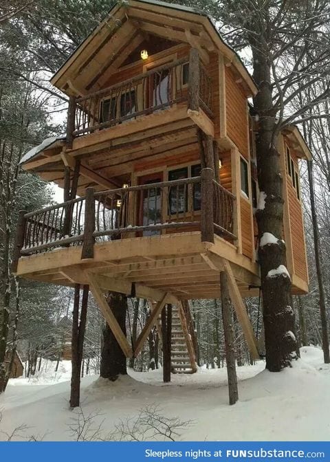 That is a TREE house