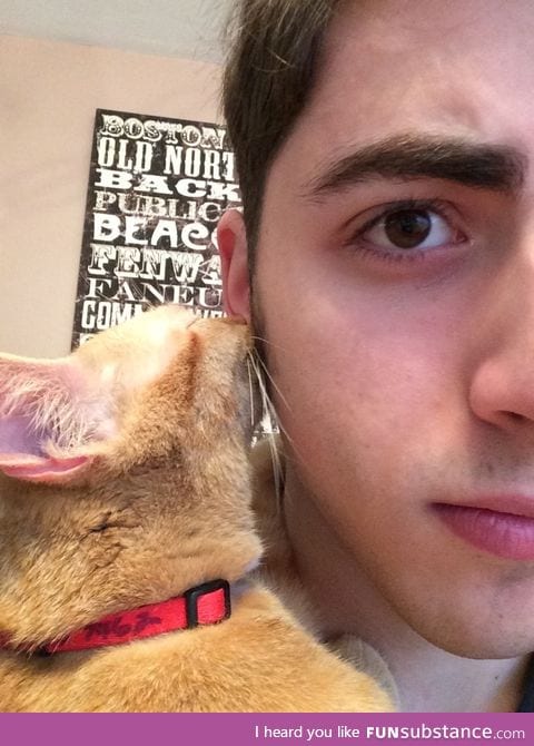 My cat thinks my ear is a mother cats nipple, and then she falls asleep