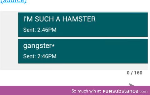 Hamster life