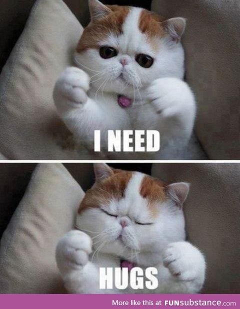 Kitty needs hugs