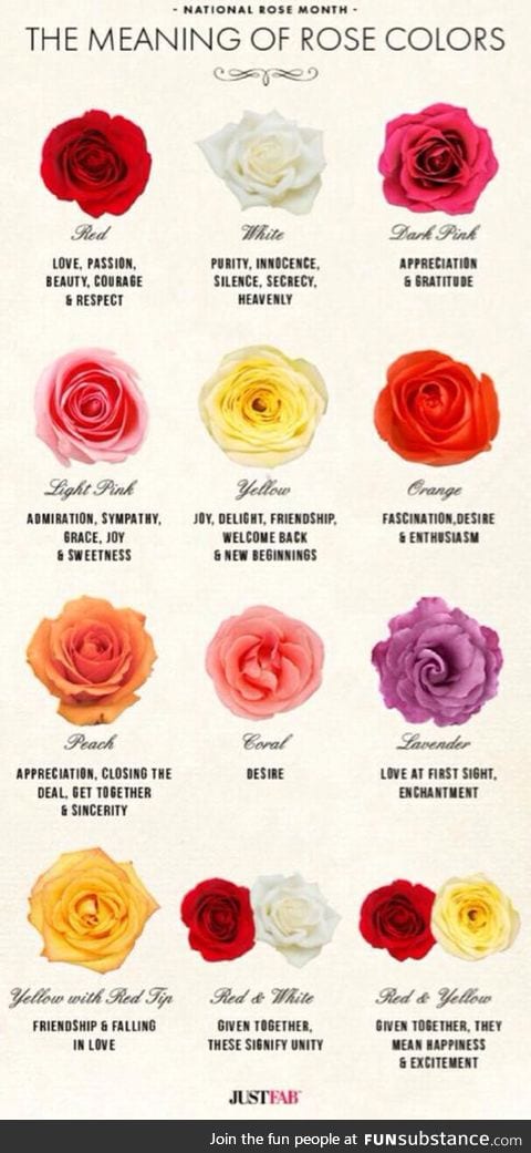 Just in case you were thinking of giving someone a bunch of roses