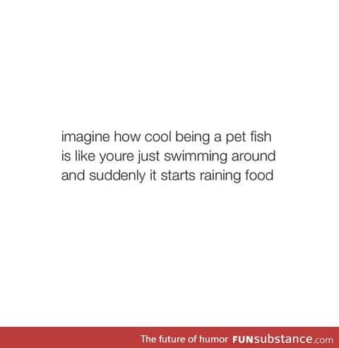I wanna be a pet goldfish when I grow up