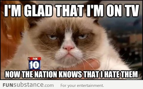 Grumpy Cat doesn't mind the media exposure