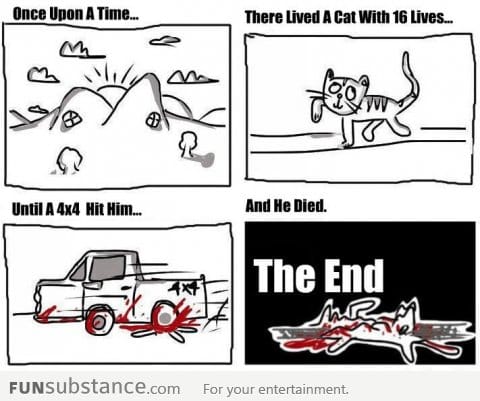 A Cat Story