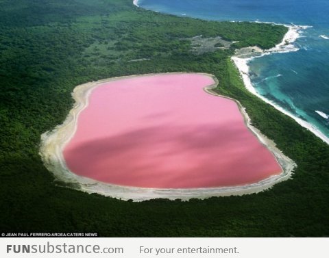 Pink lake in Australia