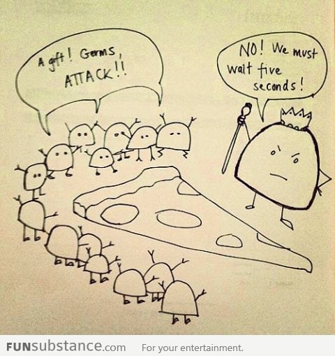 The 5 second rule