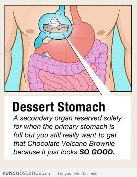 Dessert Stomach