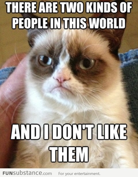 Grumpy cat strikes